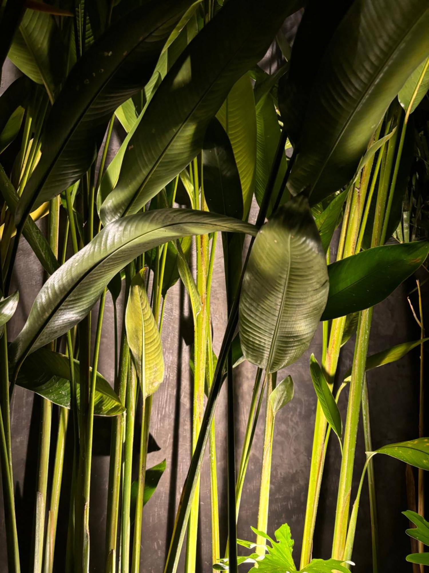 Rumah Kita Ecolodge Ubud Buitenkant foto