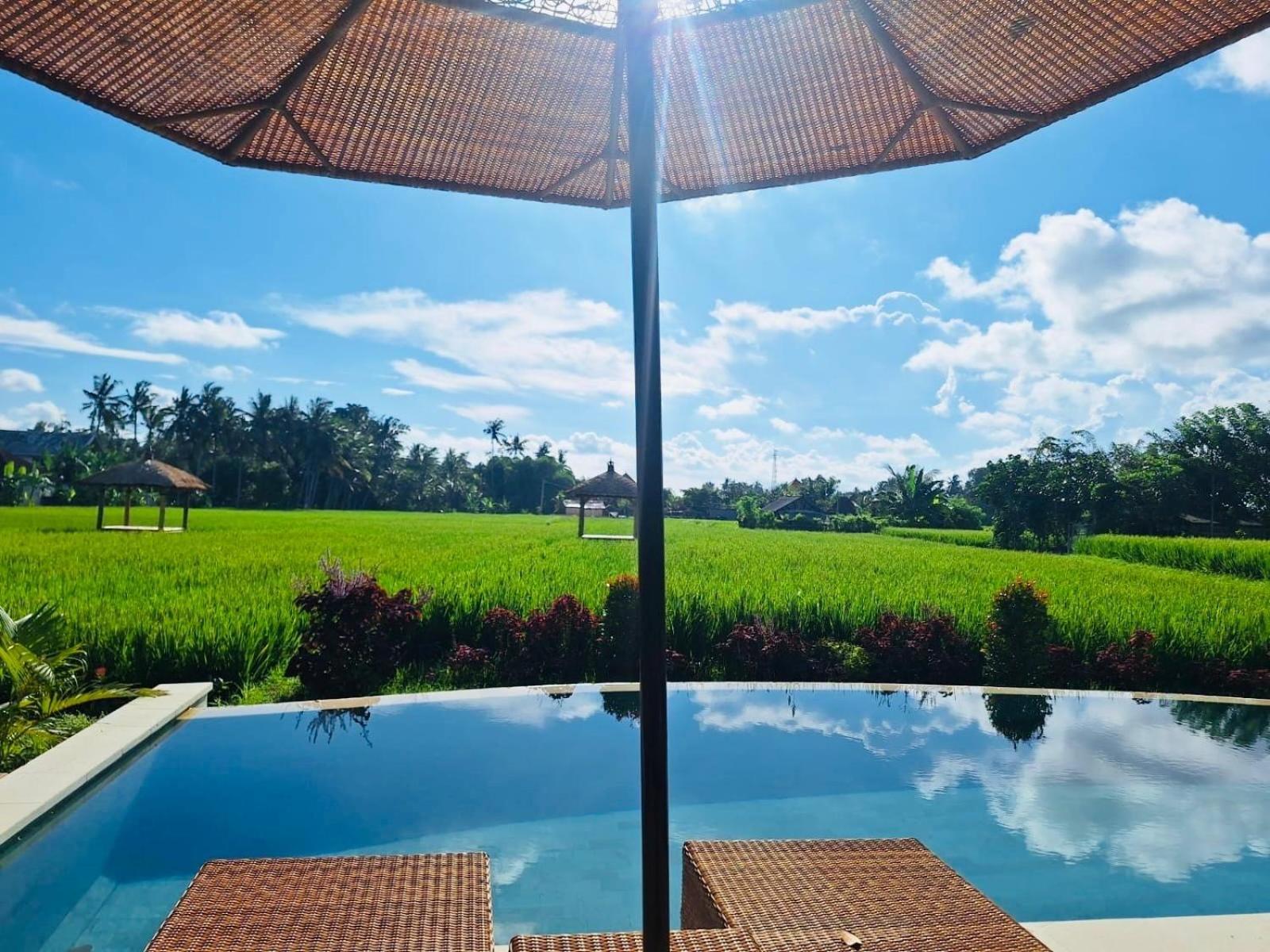 Rumah Kita Ecolodge Ubud Buitenkant foto