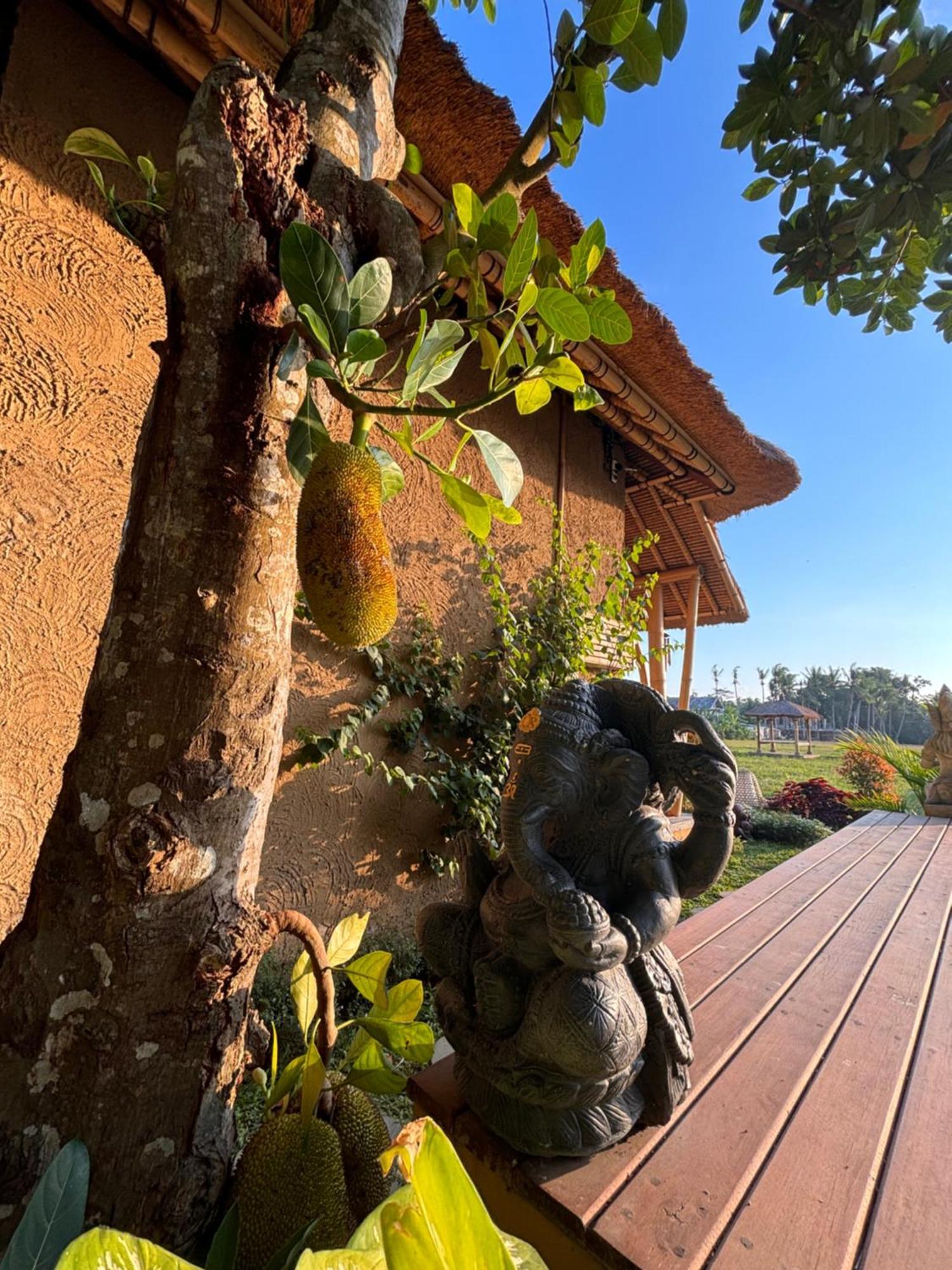Rumah Kita Ecolodge Ubud Buitenkant foto