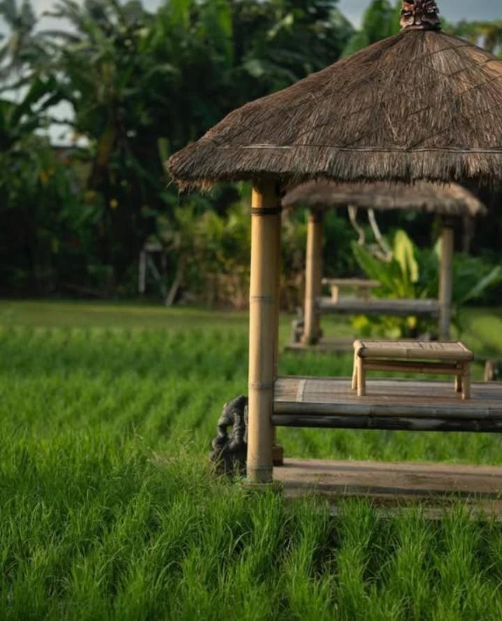 Rumah Kita Ecolodge Ubud Buitenkant foto